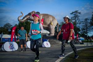 BIB: 
                            <button type="button" onclick="openModal(26541878)" class="btn btn-primary btn-sm float-right btn-popup" data-toggle="modal" data-target=".modal-high-quality">
                        <i class="fas fa-shopping-cart"></i> Add to Cart
                    </button>
                                            <button type="button" onclick="isThisMe(26541878, true)" class="btn btn-success btn-sm float-right btn-popup btn-isme hidden" data-toggle="tooltip" data-placement="bottom" title="นี่คือรูปของคุณใช่ไหม คลิกที่นี่เพื่อเอาเข้าอัลบั้ม">
                        <i class="fas fa-plus"></i> Add to album
                    </button>
                    <button type="button" onclick="isThisMe(26541878, false)" class="btn btn-warning btn-sm float-right btn-popup btn-isnotme hidden">
                        <i class="fas fa-ban"></i> Remove from album
                    </button>